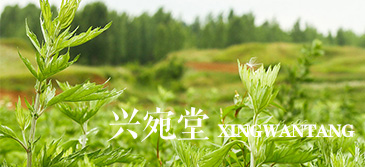 艾條的使用方法和注意事項(xiàng)有哪些？
